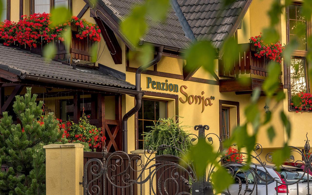 Penzion Sonja Vyšné Ružbachy Exteriér fotografie